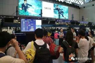 东航吃瓜视频,揭秘航班服务背后的故事