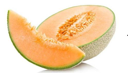 哈密瓜能给羊吃吗视频,羊儿喜爱的夏日美味