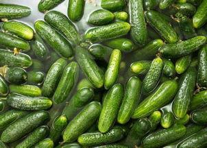 吃很大一块瓜会中毒吗视频,揭秘过量食用瓜果可能导致的健康风险